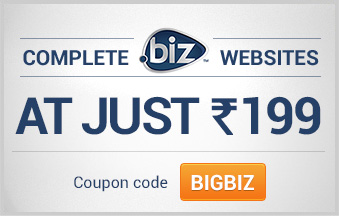 Complete .BIZ website for just Rs. 199